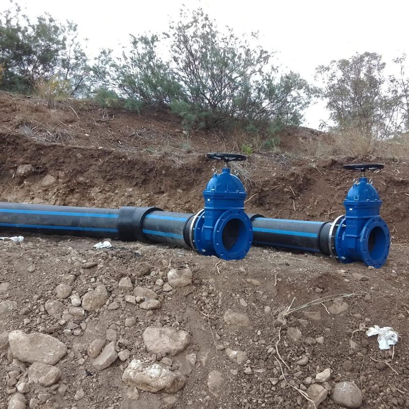 WhatsApp Image 2025-05-20 at 09.57.31 (1)