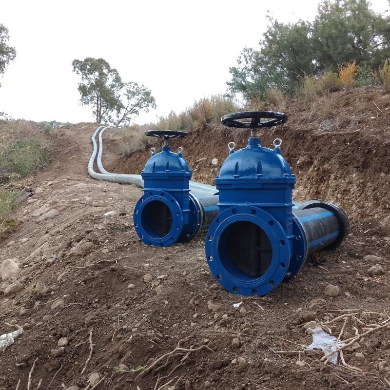 WhatsApp Image 2025-05-20 at 09.57.31