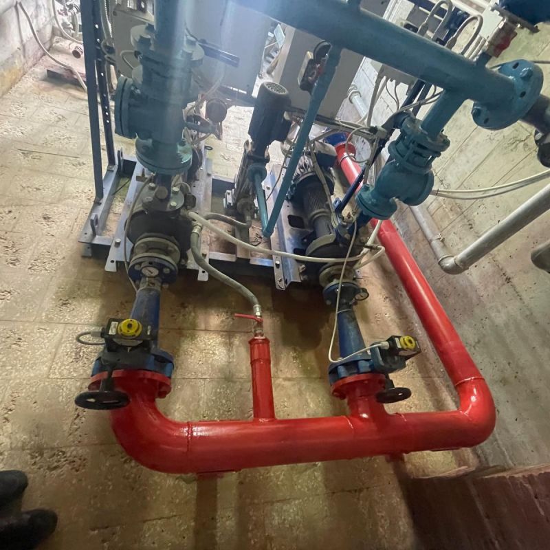 WhatsApp Image 2025-05-20 at 09.57.34 (3)